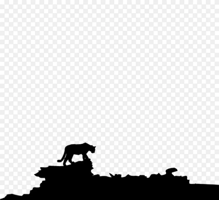 犬科牛犬白猫png图片素材免费下载 图片编号 Png素材网