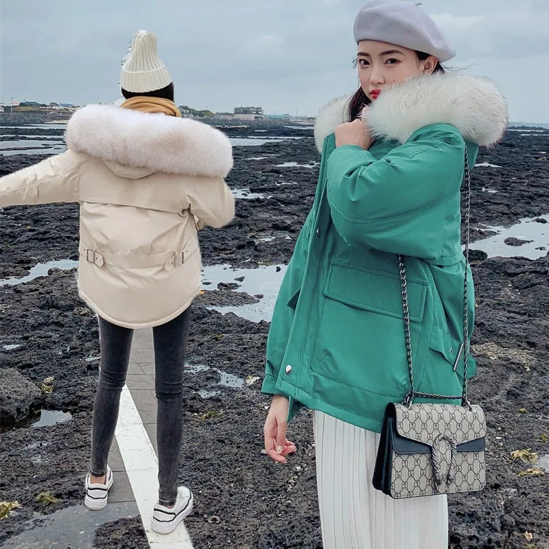 

Photo Shoot 2019 Autumn And Winter New Style Loose And Plus-sized Short down Jacket Women's Slimming Short-height Thick Coat Cot