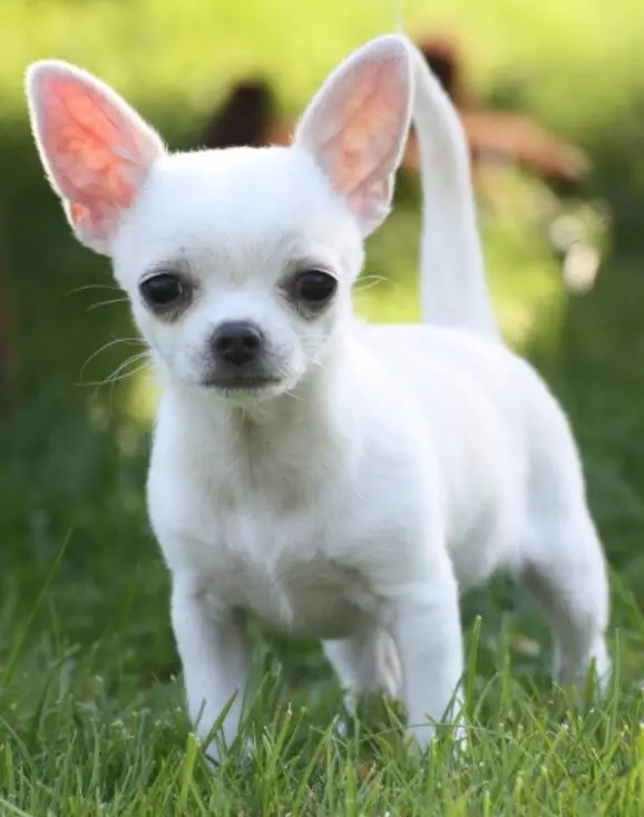 QQ截图20191018120102