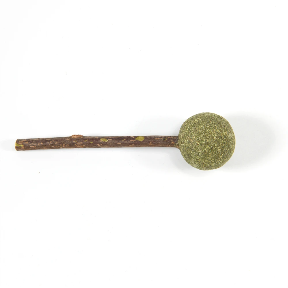 Catnip Lollipop Toy