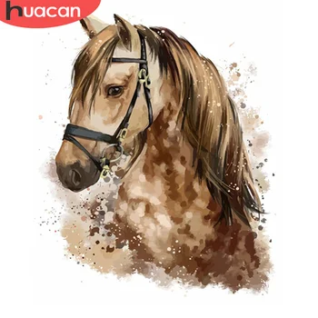 

HUACAN DIY Painting By Number Horse Drawing On Canvas Gift Pictures By Numbers Animal Kits Hand Painted Paintings Art Home Decor