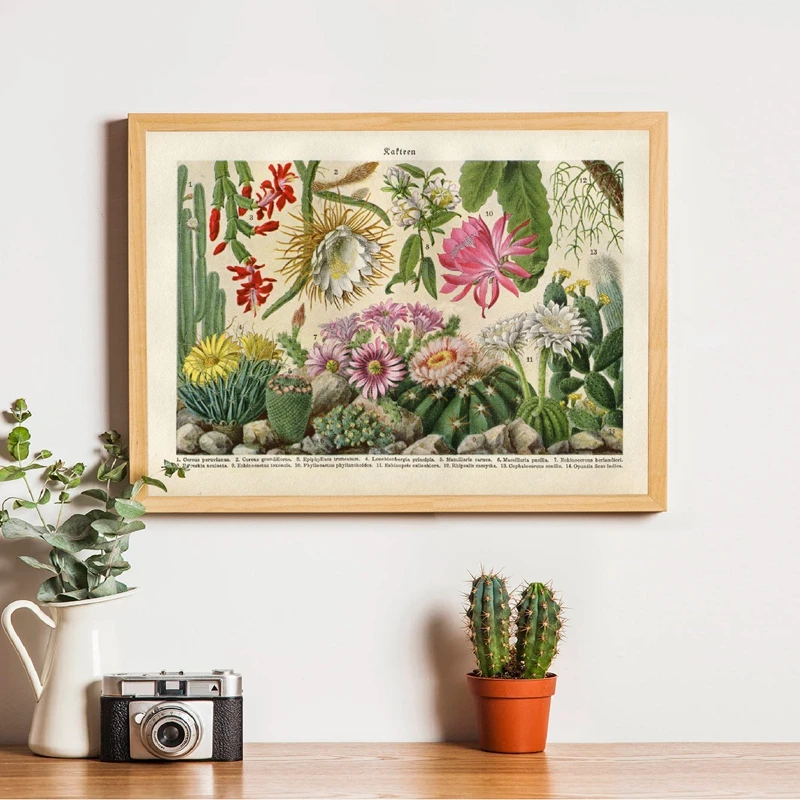 Cactus Flowers Desert Plants Botanical Canvas Painting Home Art Decor