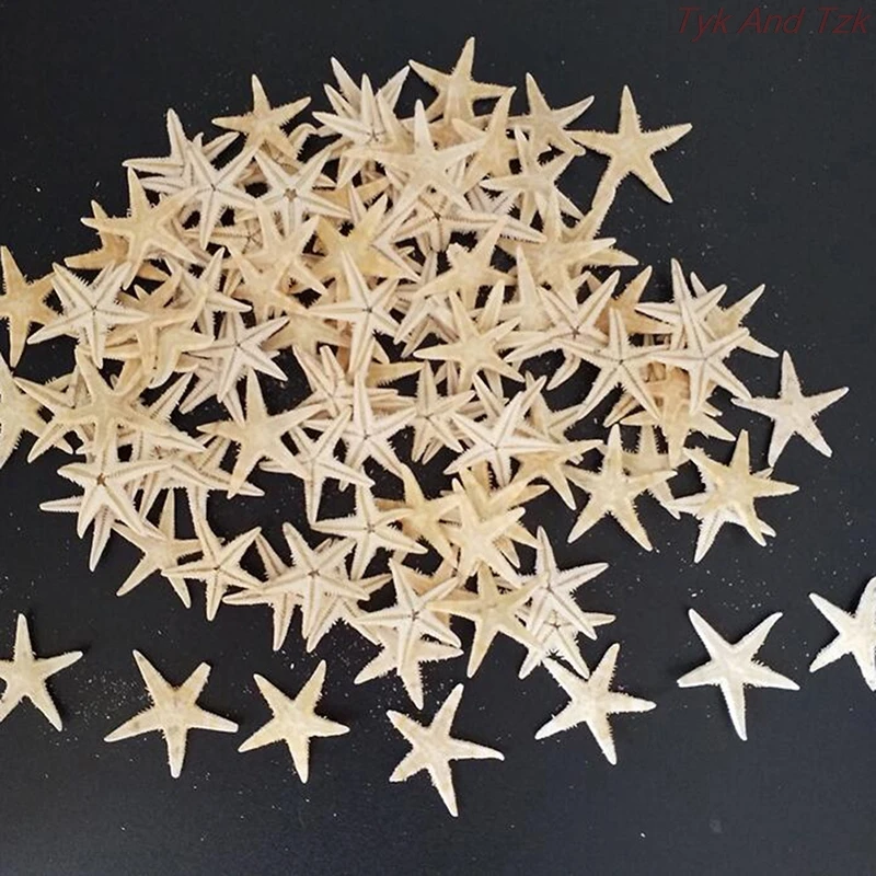 100pcs Sea Shells Size:0.5-3cm Mini Starfish Craft Decoration Natural Stars DIY Beach Cottage Wedding Decor Crafts | Дом и сад