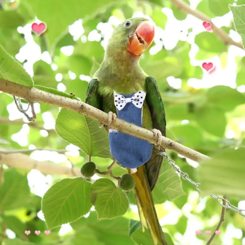 

Bird Parrot Flight Suit Pigeons Parakeet Flying Clothes Diapers