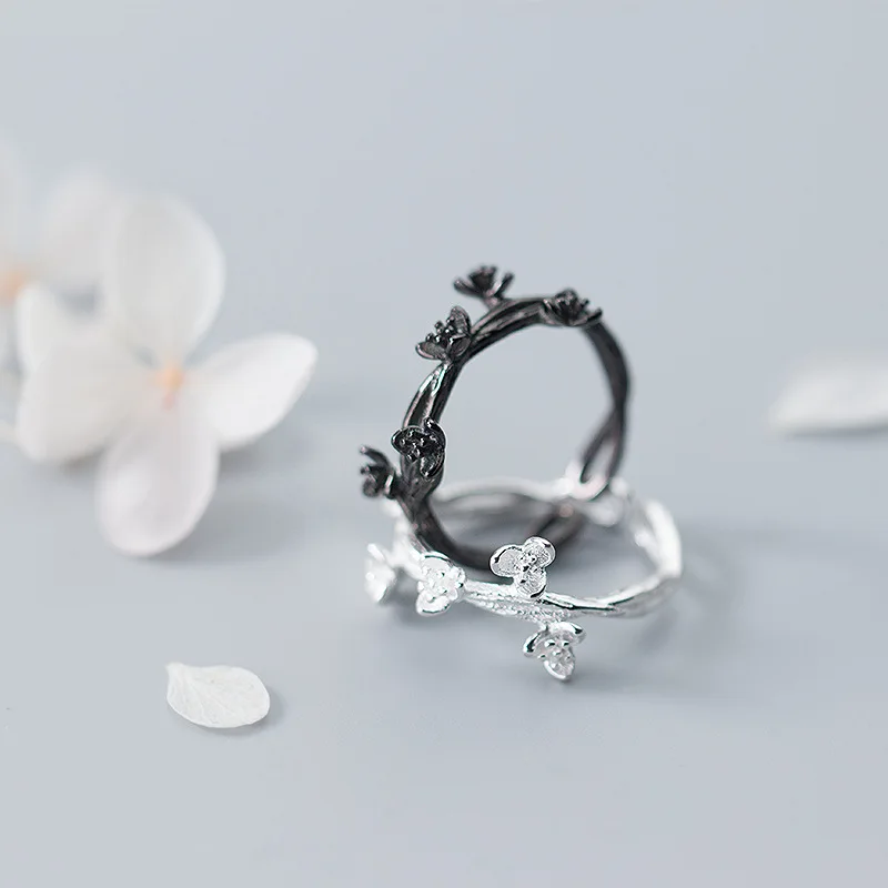 8533874901_334617663