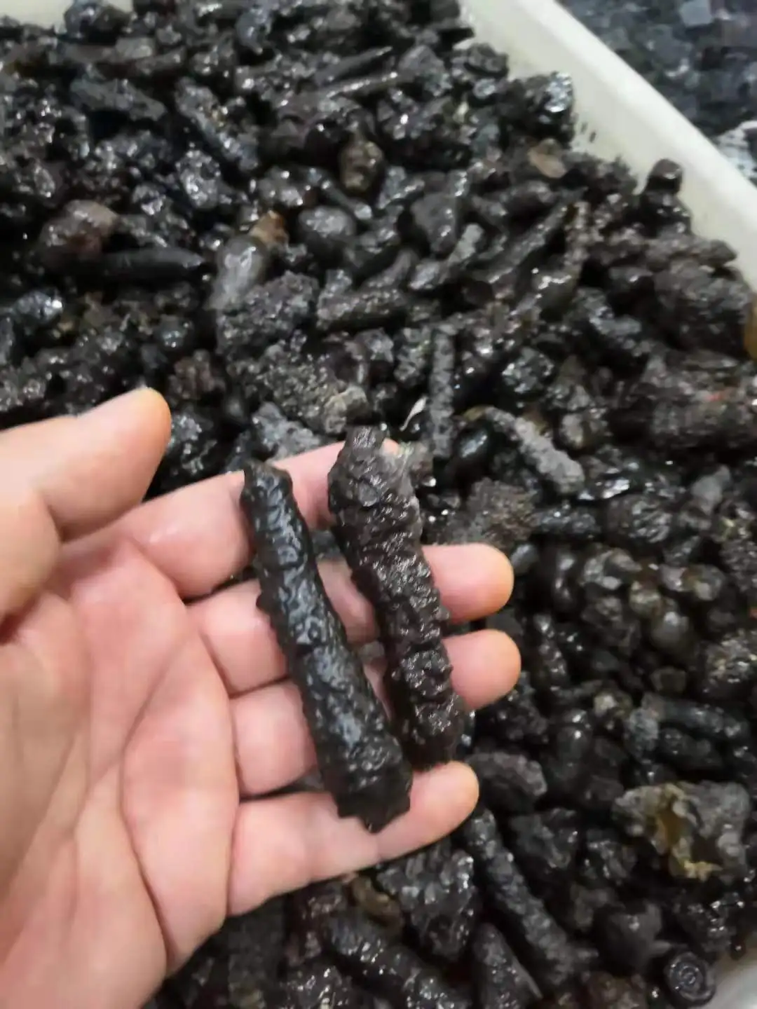 Rare Carbonado Black Diamond  Specimen 5