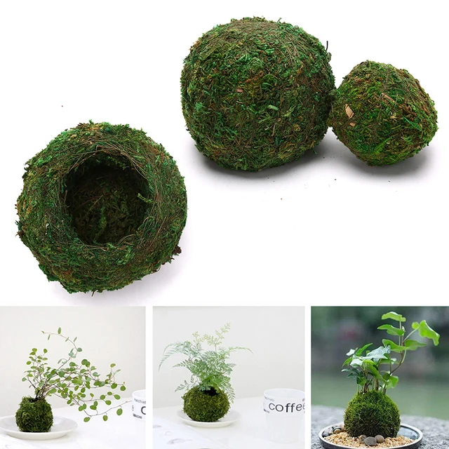 6/9 Cm Zöld Mos Bal Virág Bonsai Pot Houder Kerti Ház Dekorációkhoz Mohás Golyó Növényi Edény - Image 6