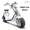 white 1000W 12AH