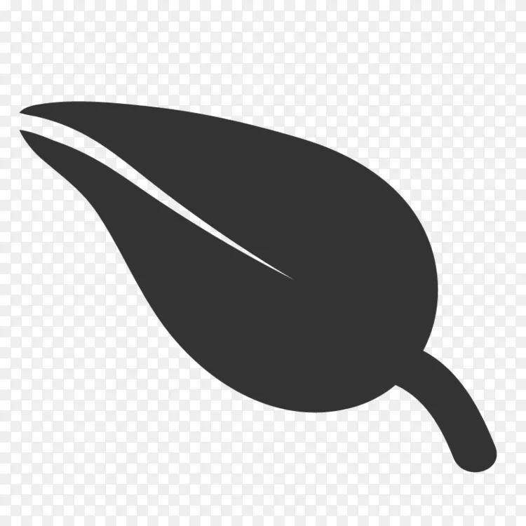 叶白叶png图片素材免费下载 图片编号 Png素材网