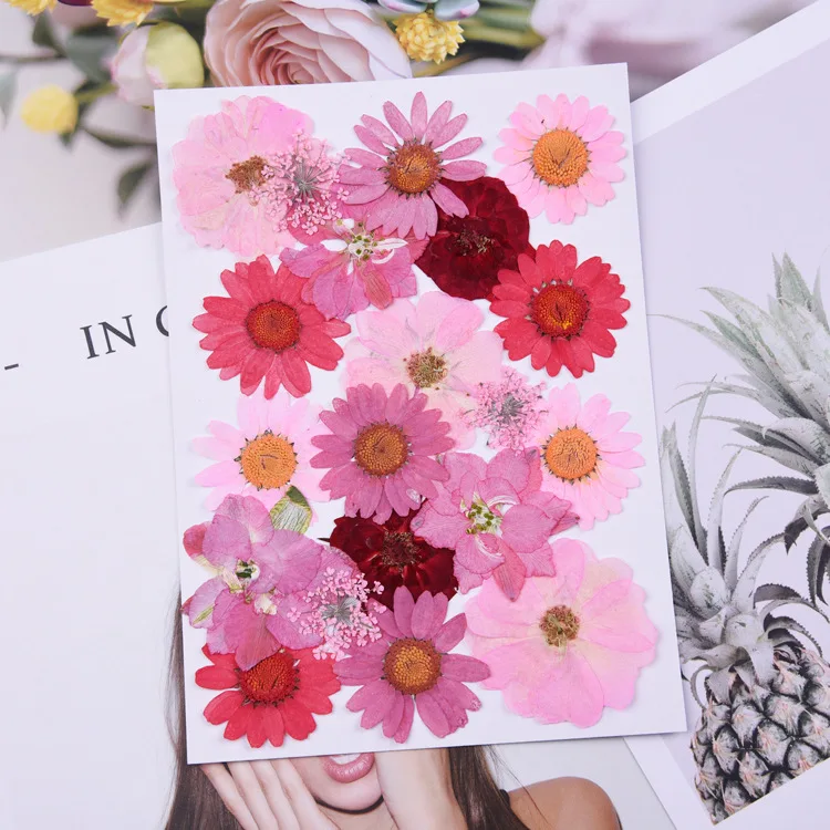

Small Dried Flowers for UV Resin Pressed Flowers Scrapbooking Dry Preserved Flower Decoration Home Mini Bloemen Flores Secas DIY