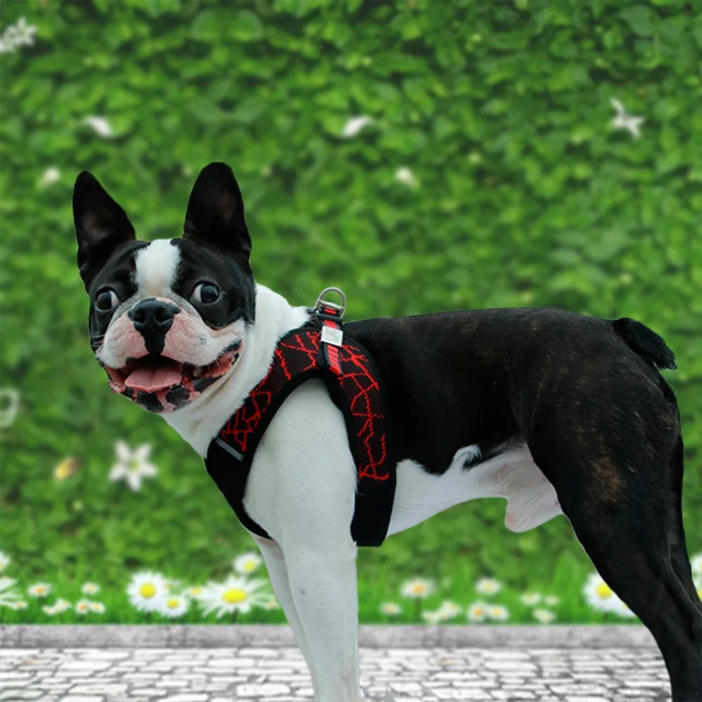 

No Pull Dog Harness and Leash Set Paddy Pet Harness Leashes for Small/Medium Dogs Adjustable Dog Harness Lead for Train Running