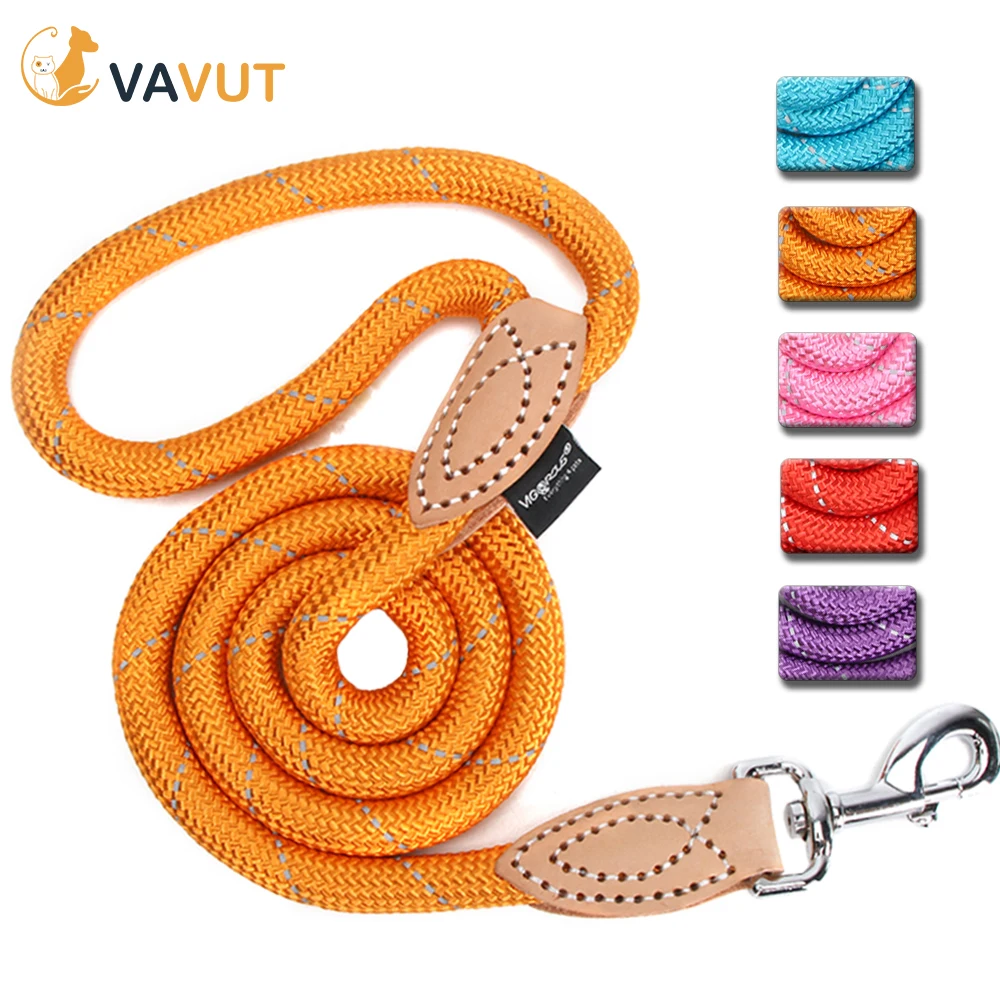 Reflective Big Dog Running Leash Long Nylon for Large Small Dogs Rope