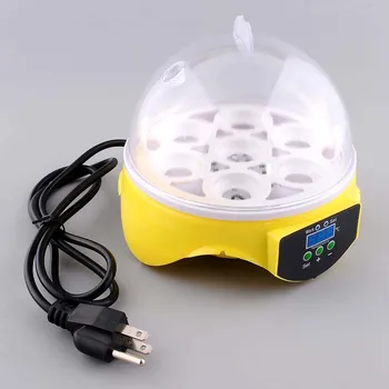 

Egg Incubator Poultry 7 Eggs Temperature Control Hatcher Hatch