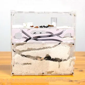 

Ant Transparent Acrylic Combo with Hybrid Sand Ant Nest Formicarium Ant Farm