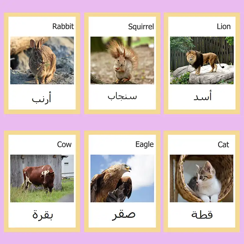 Carte Flash Monde Animal Pour Enfants 24 Pieces Apprentissage Anglais Arabe Bebe Voitures Materiel Educatif Montessori Aliexpress