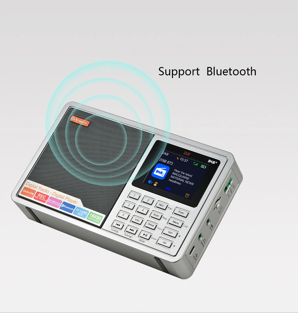 GTMEDIA D2 2,4 дюймов Bluetooth на батарейках с FM и цифровым Радиовещанием портативное радио многодиапазонный ЖК-дисплей стерео Поддержка Micro TF карты
