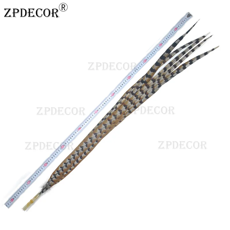Zpdecor 100-110 см натуральные Reeves венерические перья из хвоста фазана украшения ювелирных изделий