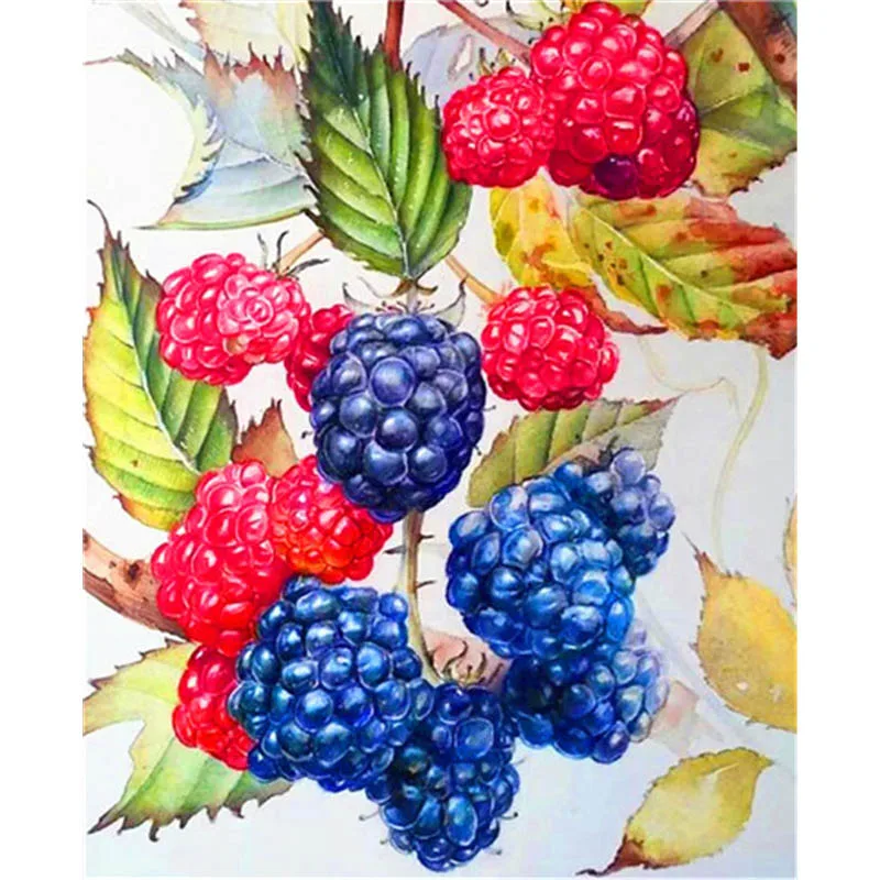 

BAISITE DIY Painting By Numbers Hand Painted Canvas Fruit Modern Wall Picture Art For Living Room Home Decoration OTG6082