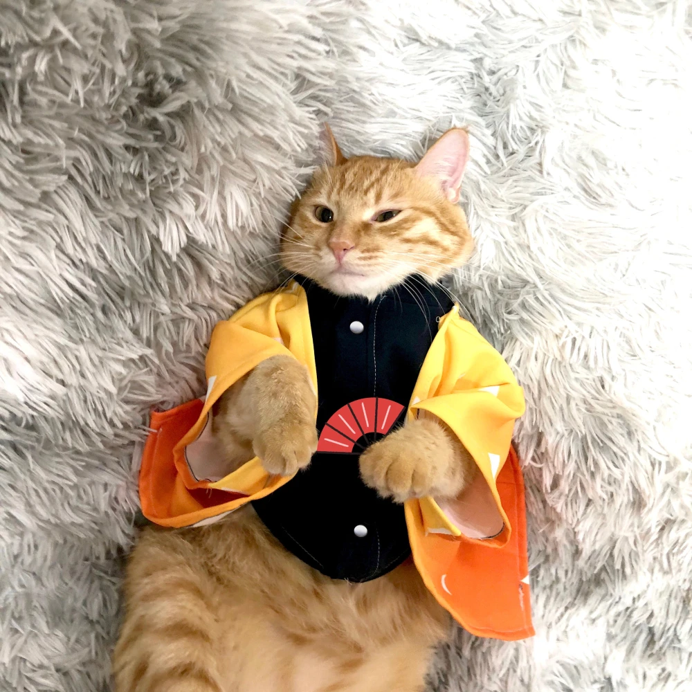 Anime Demon Slayer Cosplay Costumes For Cat Mascotas Ropa Para Gatos Kedi Kiyafeti Kimono Perros Chiens Dress Pet Dog Clothes Cat Clothing Aliexpress