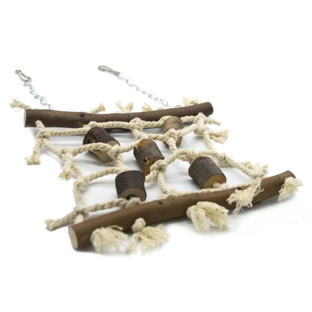 5240823077_1550852929