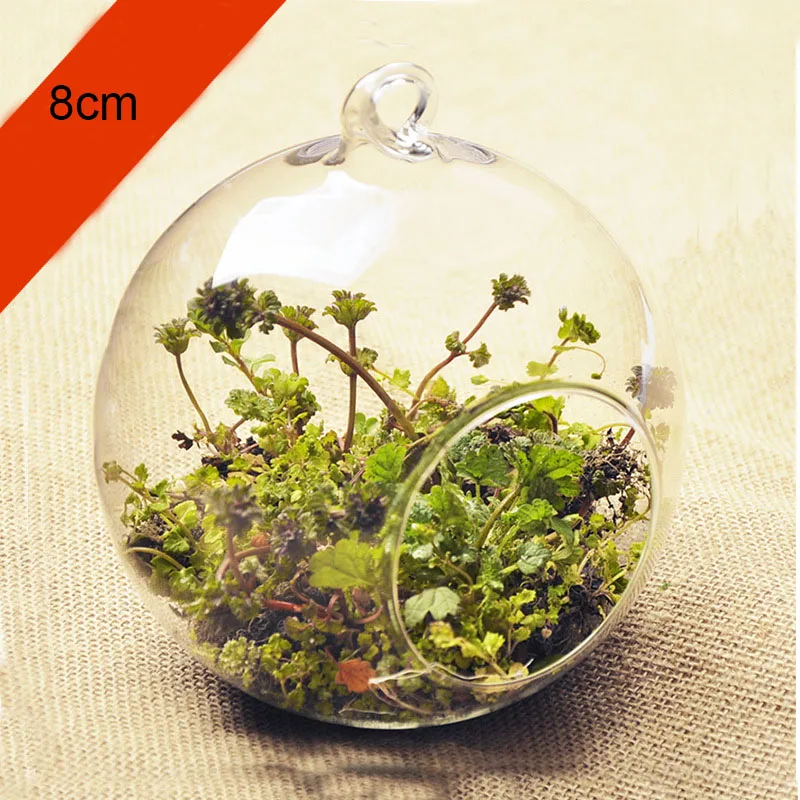 10/12cm Transparent Clear Glass Round Terrarium Flower Plant Stand Hanging Vase Hydroponic Home Office Wedding Garden Decor