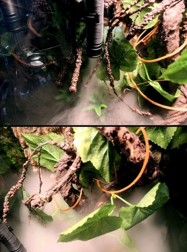 Увлажнитель для скалолазания, автоматический распылитель, увлажнитель, нормо, альпинистская черепаха, ящерица, хамелеон, дракон, лягушка, распылитель, газификация