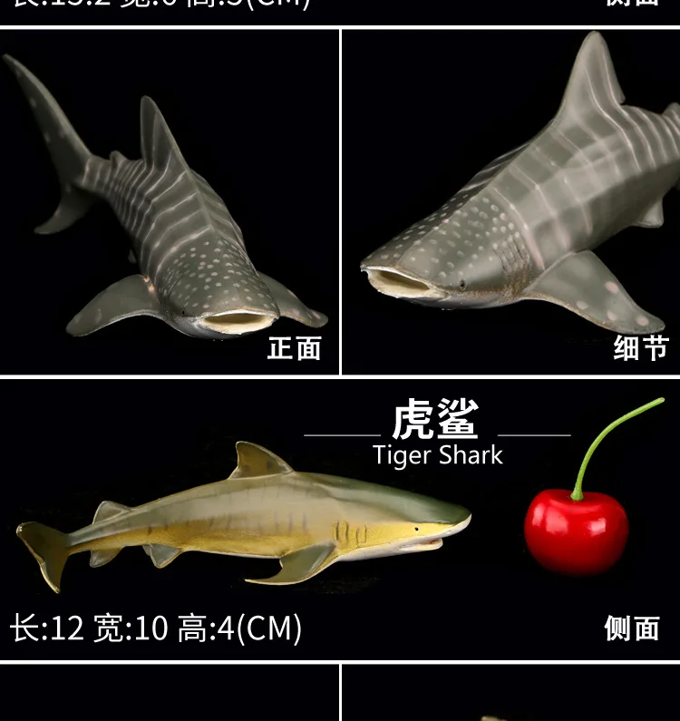 В Jie Ming модель животного морского организма Акула КИТ морж игрушка набор из 8(подарочная коробка