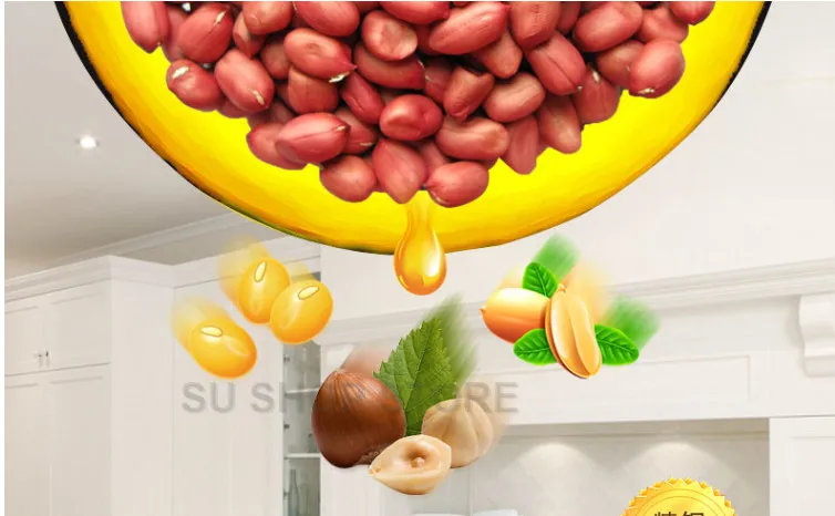 2019 new 110V/220V automatic cold press oil machine, oil cold press machine, sunflower seeds oil extractorTemperature Controlle