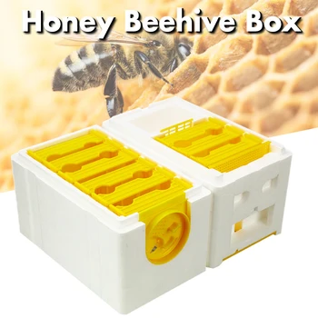 

Honey Beehive Frames Beekeeping King Box Pollination Box Foam Frames Beekeeping Tool Kit Copulation Equipment Box Beekeeping