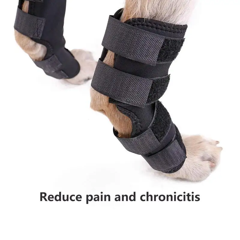 Dog Back Leg Brace, Dog Canine Rear Leg Hock Joint Wraps Protects Wounds as they Heal Compression Brace Heals,Prevents Injuries