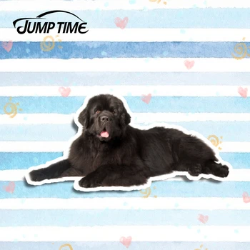 

Jump Time 13cm x 6.6cm Newfoundland Dog Decal Funny 3D Car Styling Car Sticker Laptop Vinyl Pet Graphic Waterproof Accessories