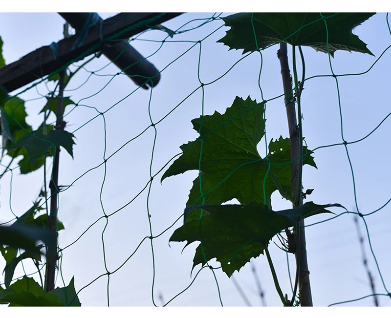 O1CN01EgHkEi1JMuXn4gNME_!!1602131015