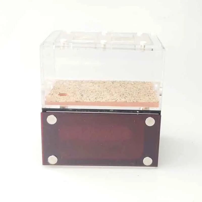 

Reptile Terrarium Concrete Ants Nest Ants Farm Independent Active Areas And Nests For Middle Or Big colonies Gifts