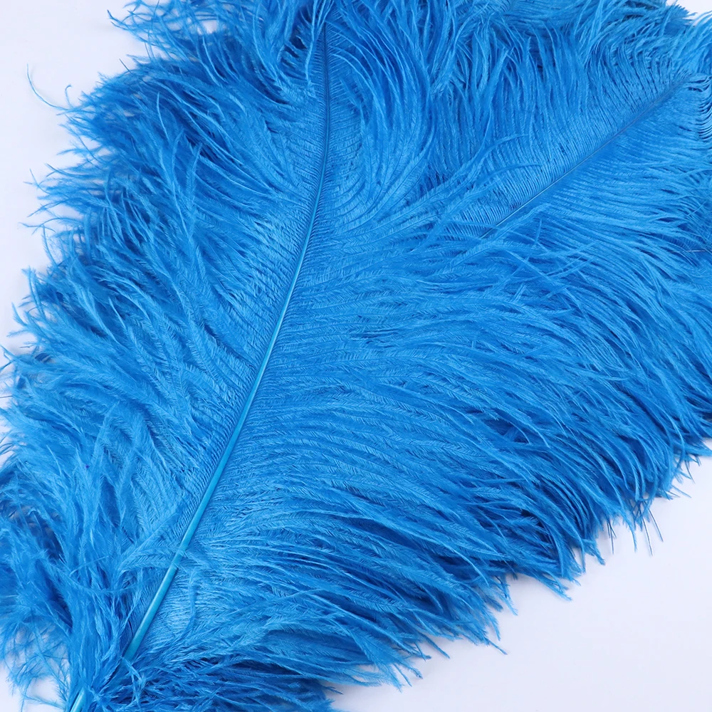 TS0160006 60-65cm ostrich feathers 3