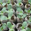 Garden Supplies