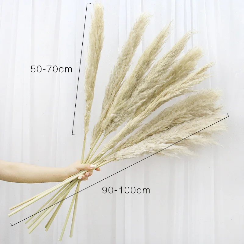 20 PCS Reed Dried Flower Pink Pampas Grass Plants Artificial Flower