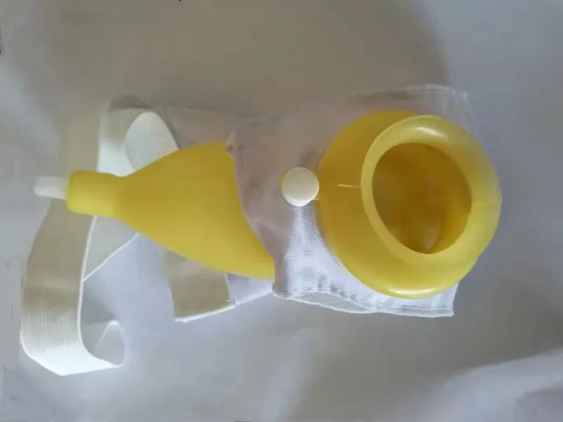 ca1_副本