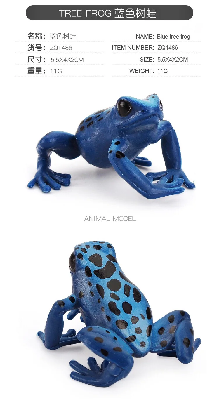 IMG_8115(20200801-160630)