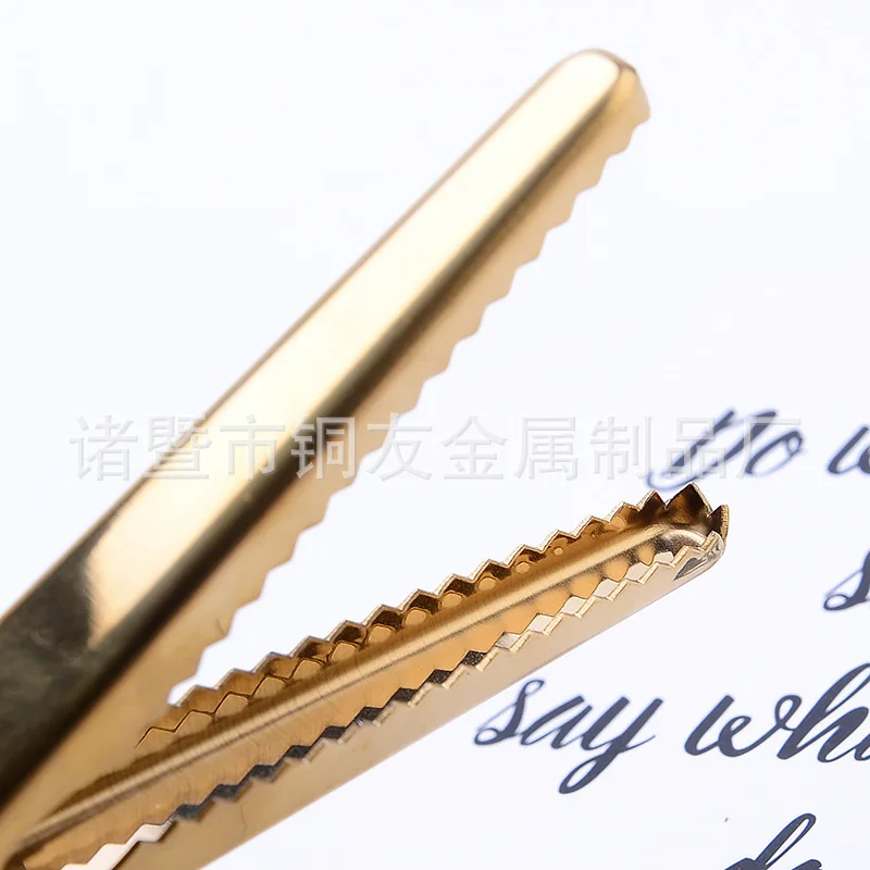 Nordic Electroplated Brass Clip Stainless Steel Ticket Clips Storage Metal Sealed Bone Staple Gold Binder Clip