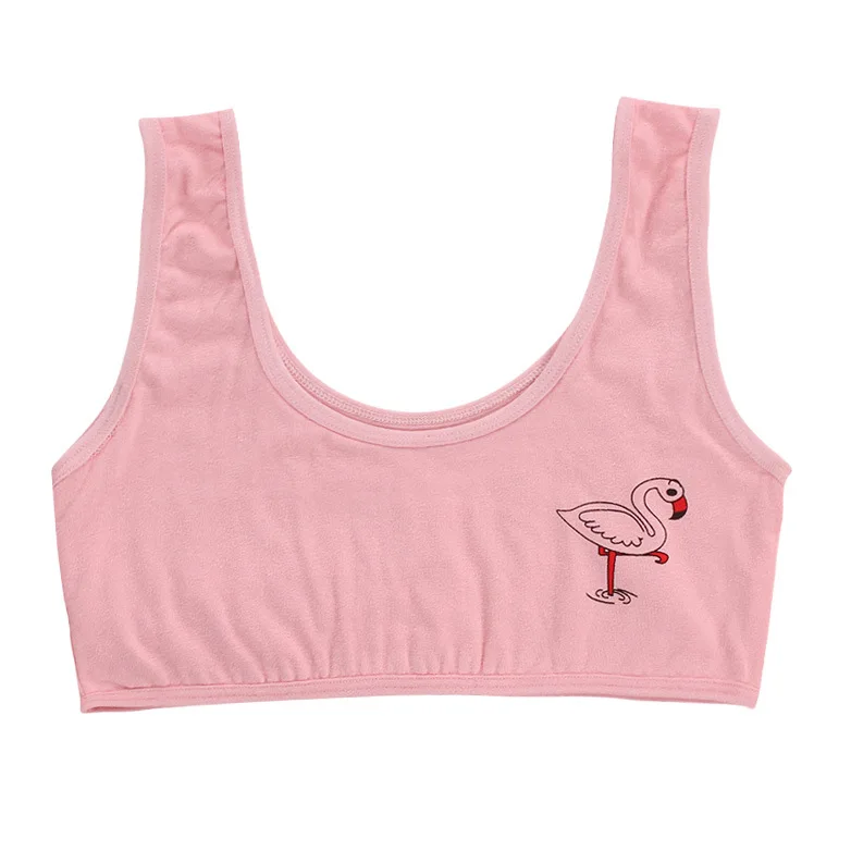 11766228317_556967668