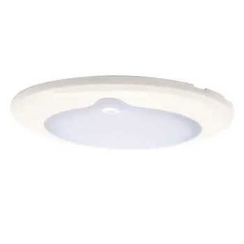 

Iztoss 9-30V RV DishLED Dimmable Ceiling Light With Touch Button