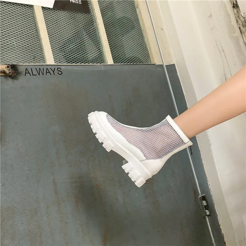 模特__19_