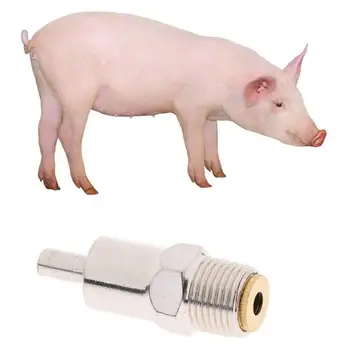 

Stainless Steel Automatic Pig Nipple Water Drinker Waterer Equipment 5PCS Adjustable Water Flow Durable To Use Easy To Install