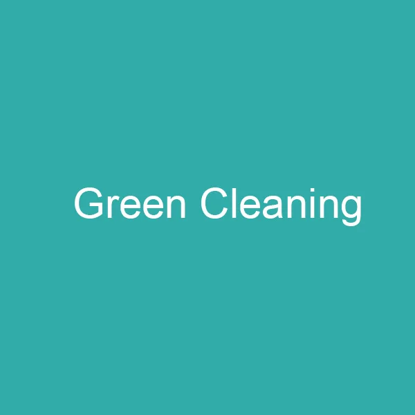 Green Cleaning 1 шт/2 шт многоразовые ватные палочки для чистки ушей Косметические Силиконовые палочки для чистки макияжа и касания дропшиппинг - Цвет: Green Cleaning