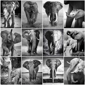 

Evershine Black White Diamond Painting Full Square Round Drill Cross Stitch Diamond Embroidery Elephant Animal Mosaic Sale Craft