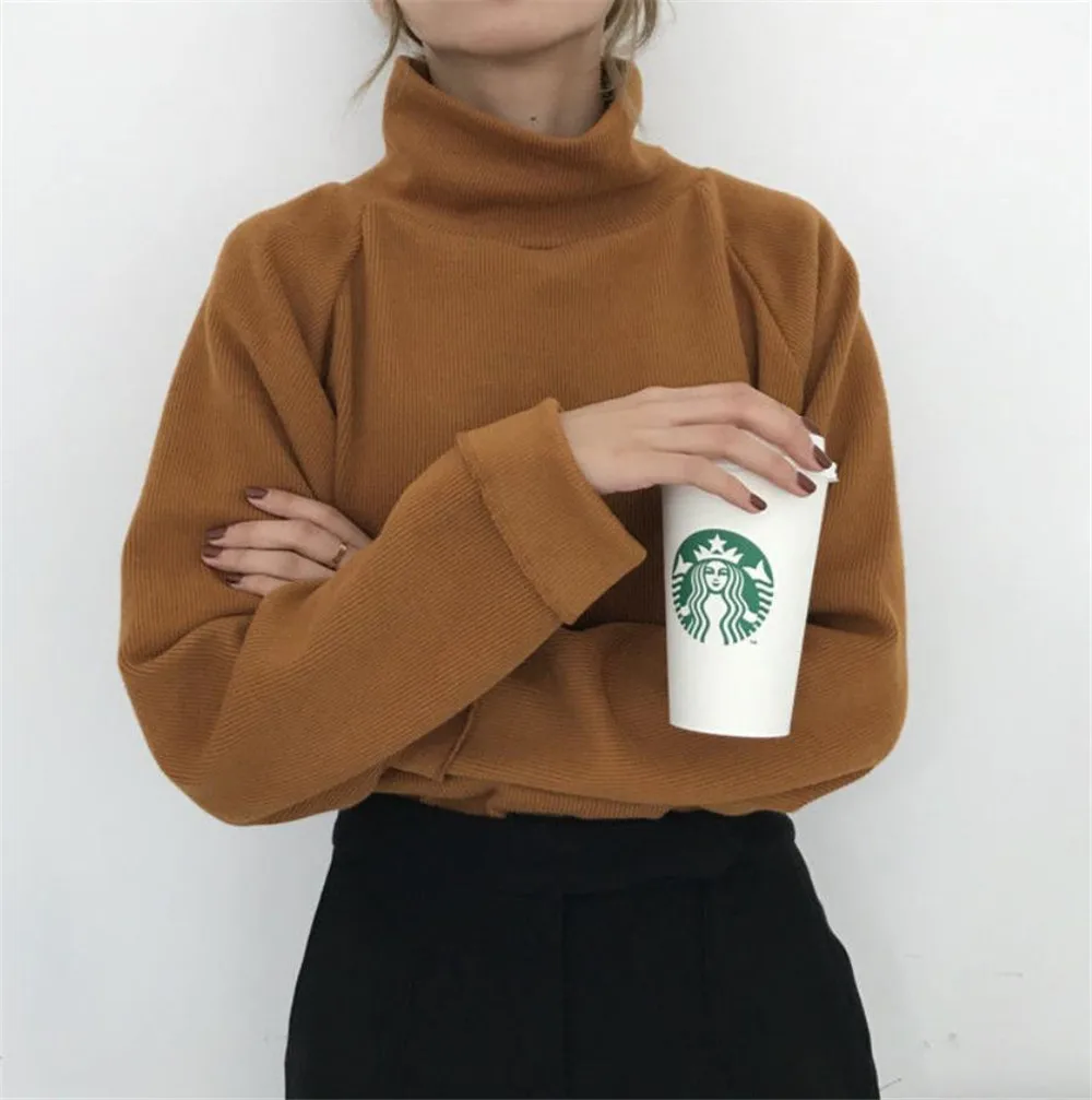 Women Sweater White Black Casual Turtleneck Sweater Spring Autumn Knit Sweater Women Pullover Plus Size jumper sweter mujer 30