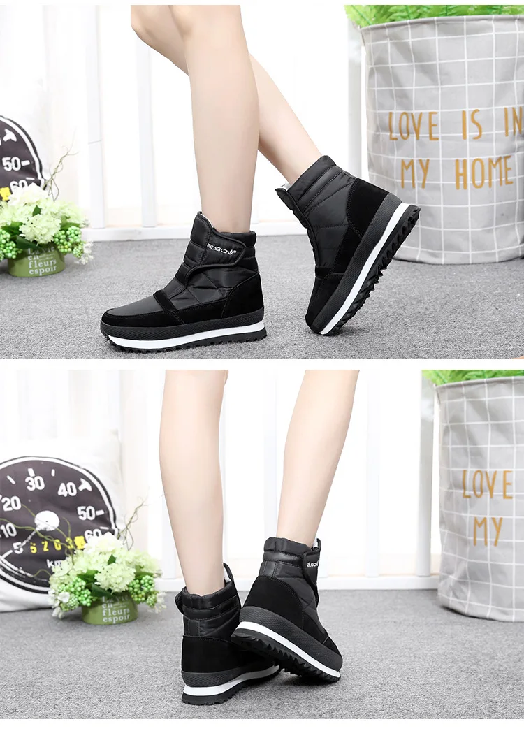 4102081353_896515143