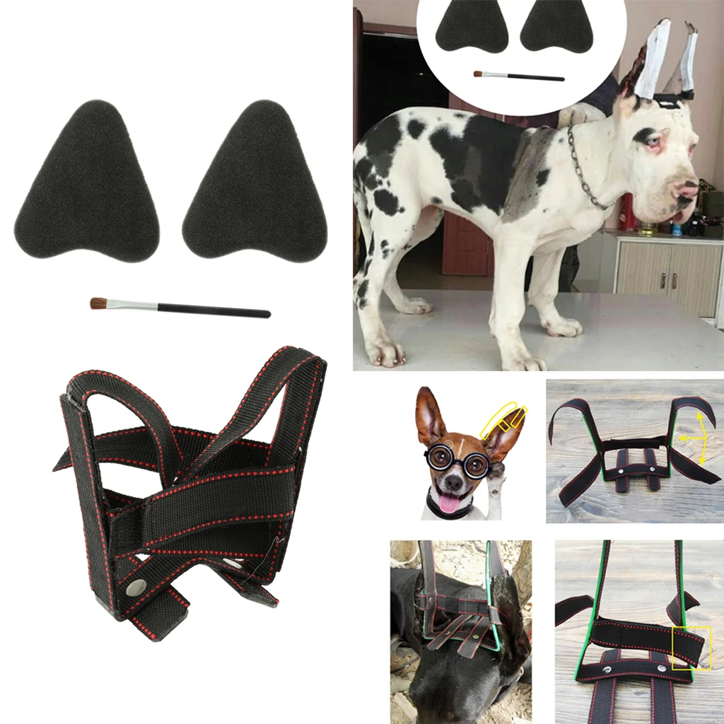 Dog Puppy Ear Care Standing Tool Suit For Samoyed, Great Dane Ear Correcting