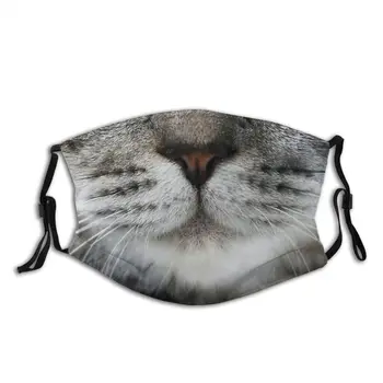 

Tabby Cat Face Kittens Washable Face Mouth Mask Pattern Protection Cover Respirator with Filters