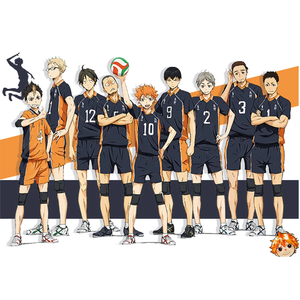 OllyMurs 9 Styles Haikyuu Cosplay Costume Anime Karasuno High School Volleyball Club Hinata Shyouyou Kageyama Sportswear Jerseys Uniform -Zentai shop online H5daabc139d1043d586b54c683842d0bf4.jpg
